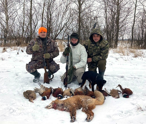 Охота на лису и фазана в Подмосковье зимой