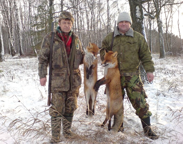 Охота на лисиц в Подмосковье зимой