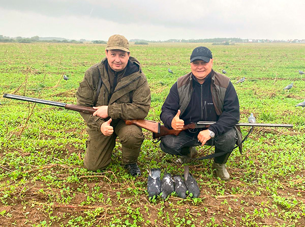 Охота на голубя вихаря в Подмосковье осенью