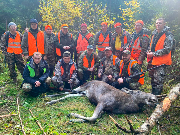 Охота на лося в Подмосковье осенью